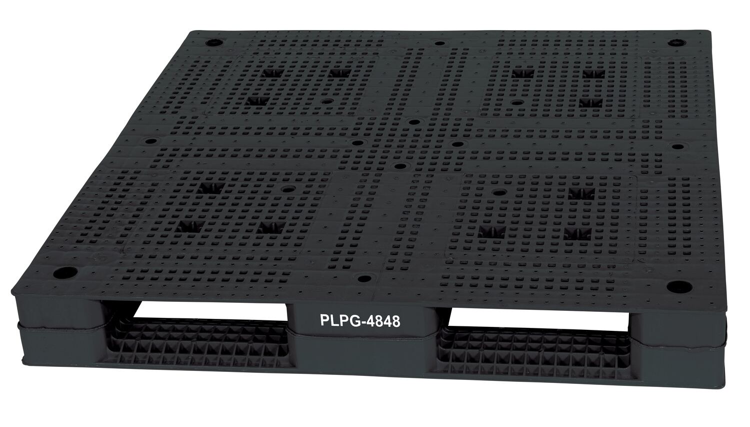 Plpg-4848_B